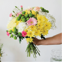 FLORISTS 2025 FLORISTS 2025